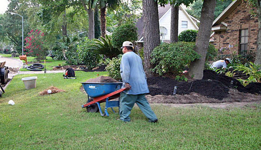 Full Service Lawn Maintenance, Kingwood TX.